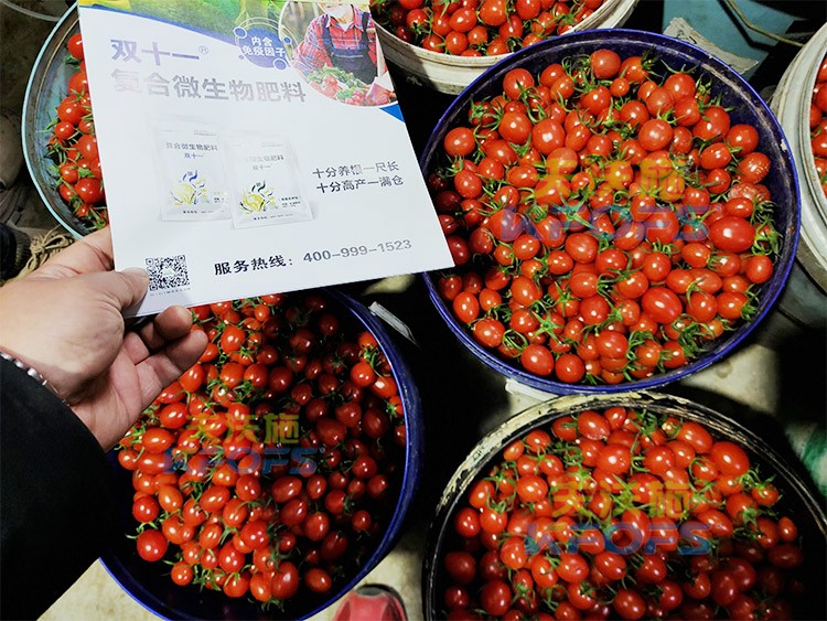 夫沃施進(jìn)口肥怎么樣？