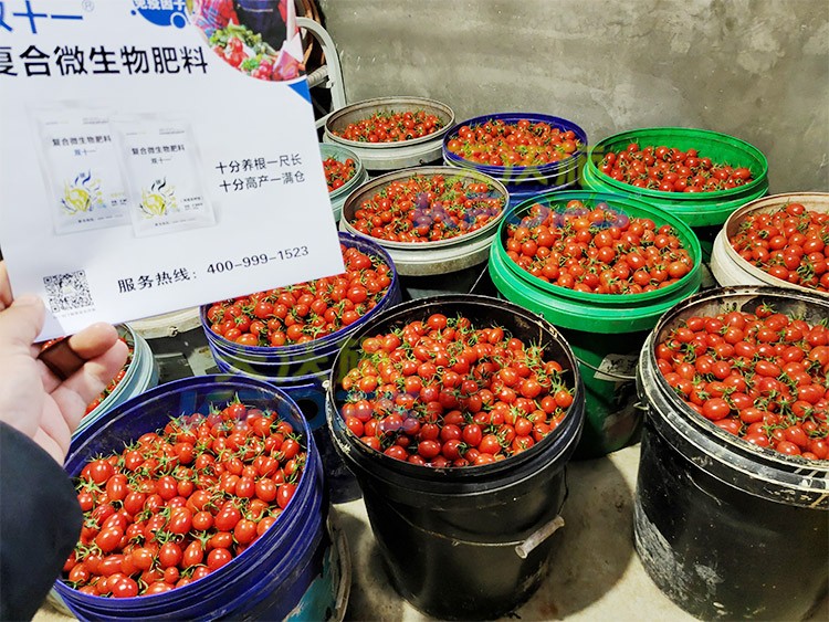 夫沃施進(jìn)口肥怎么樣？