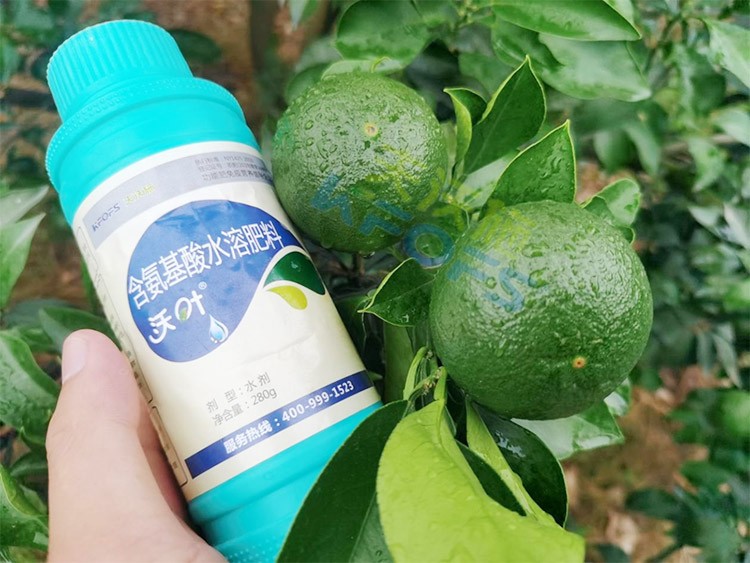 柑橘膨果轉(zhuǎn)色期用什么水溶肥好？