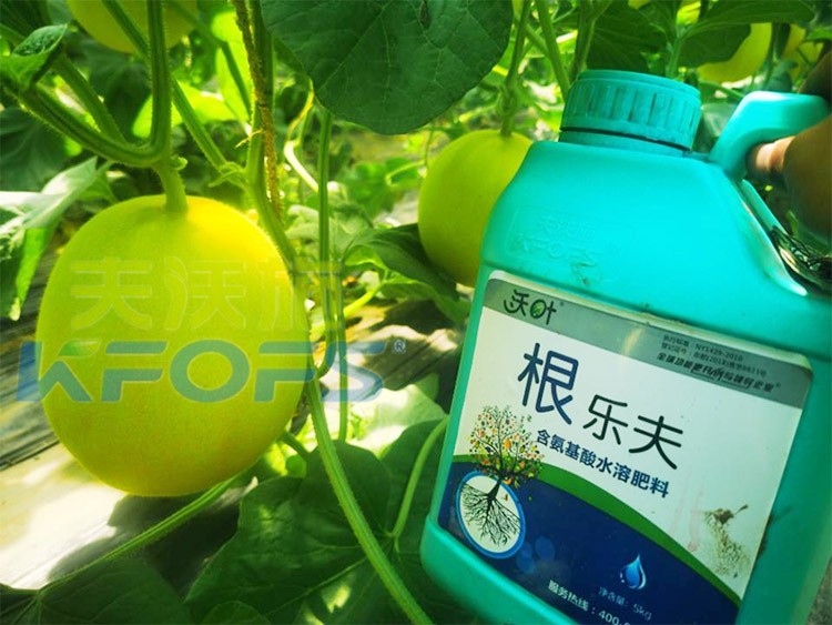 甜瓜用哪個(gè)水溶肥廠家的產(chǎn)品好？