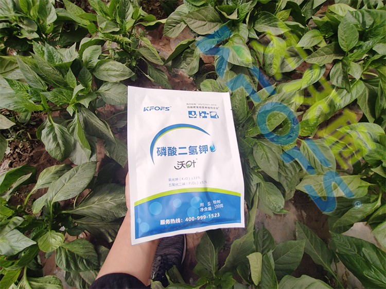 磷酸二氫鉀廠家，這家不要錯(cuò)過！