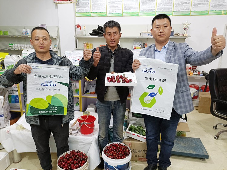 水溶肥哪家好？看完這篇不疑惑！