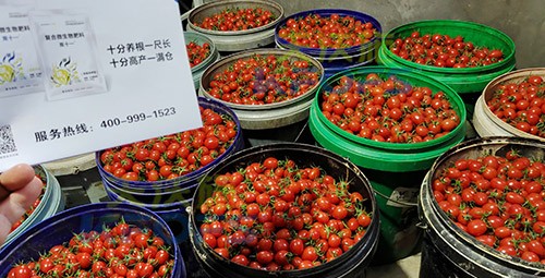 夫沃施進口肥怎么樣？
