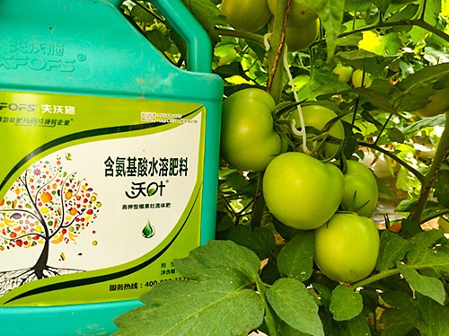 蔬菜沖施肥哪個(gè)品牌好？經(jīng)驗(yàn)實(shí)談