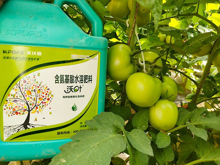 蔬菜沖施肥哪個品牌好？經驗實談