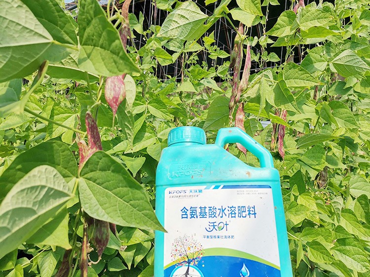 進(jìn)口水溶肥，懂行的人都這么選！
