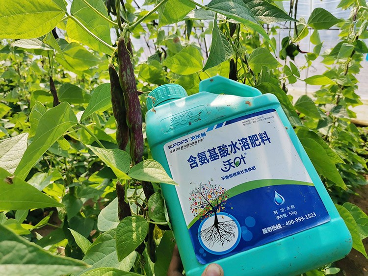 進(jìn)口水溶肥，懂行的人都這么選！