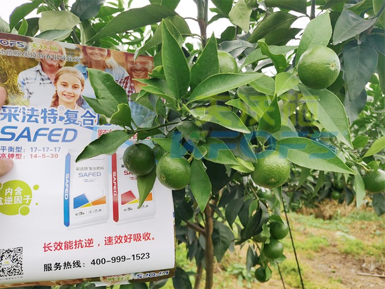 進口水溶肥怎么選？參考這三點就夠了！