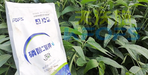 進(jìn)口磷酸二氫鉀不得不了解的一個品牌！