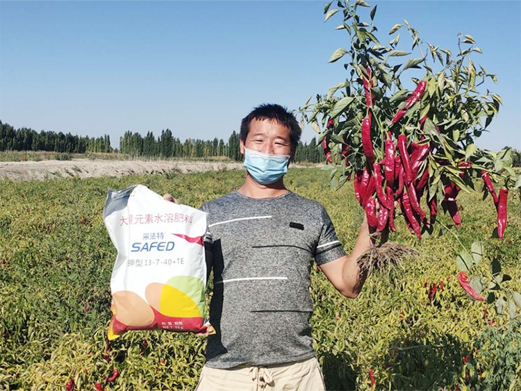 肥料廠家，有經驗的農資人這樣選！