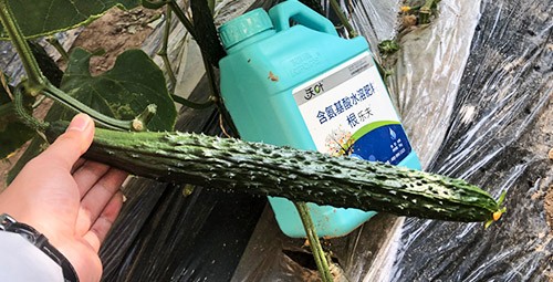 生根劑要安全不傷根，就選這個牌子！