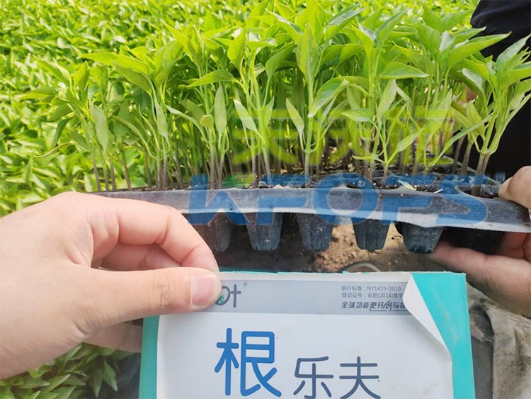 生根劑要安全不傷根，就選這個(gè)牌子！