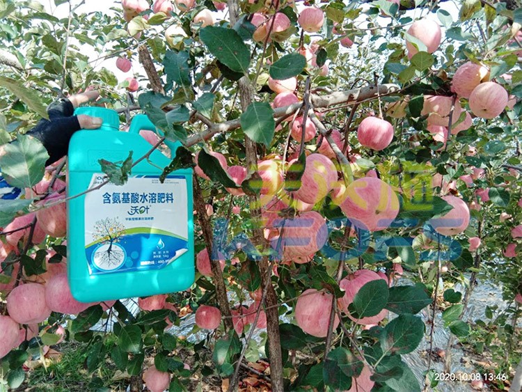 沖施肥怎么去沖施？什么牌子的好？