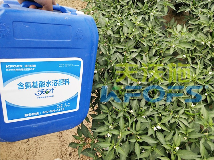 沖施肥怎么去沖施？什么牌子的好？