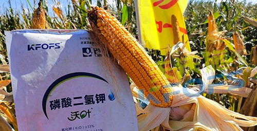 進(jìn)口磷酸二氫鉀哪個品牌好？