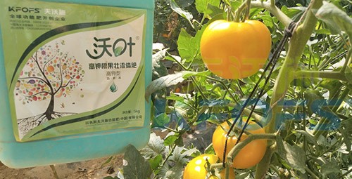 水溶肥的作用，不得不說(shuō)太強(qiáng)大了！