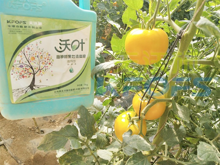 水溶肥的作用，不得不說(shuō)太強(qiáng)大了！