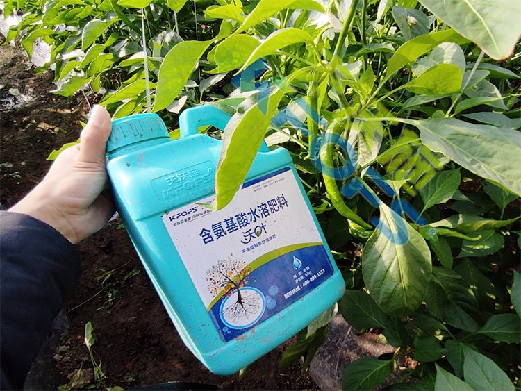 水溶肥的作用，不得不說(shuō)太強(qiáng)大了！