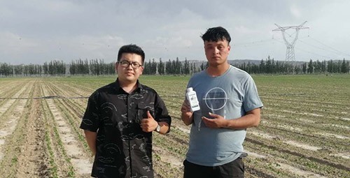 藥害還能恢復(fù)生長(zhǎng)嗎？這篇告訴你！