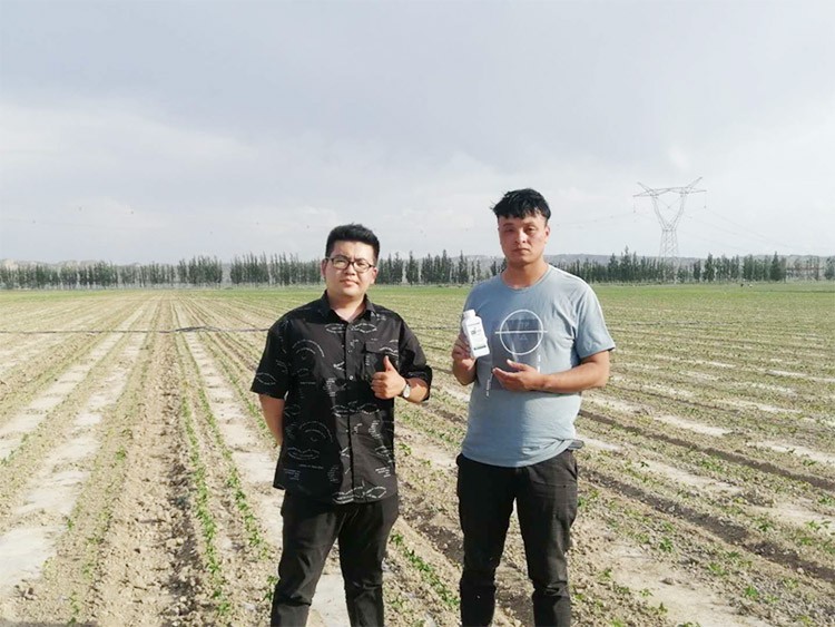 藥害還能恢復(fù)生長嗎？這篇告訴你！