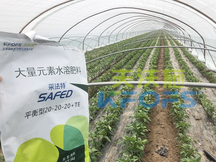 大量元素水溶肥為什么都說進(jìn)口的好？