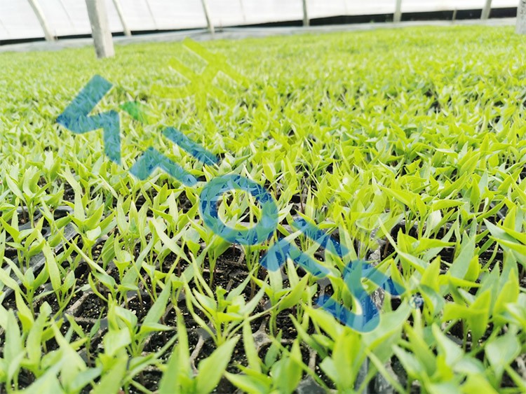 微生物菌劑廠家哪家好？