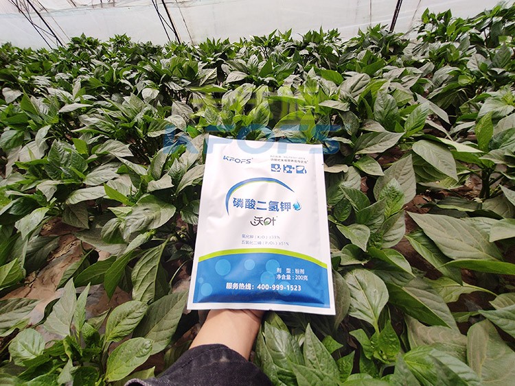 磷酸二氫鉀的正規(guī)廠家是什么樣的？