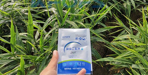 磷酸二氫鉀選這個品牌，不會錯！