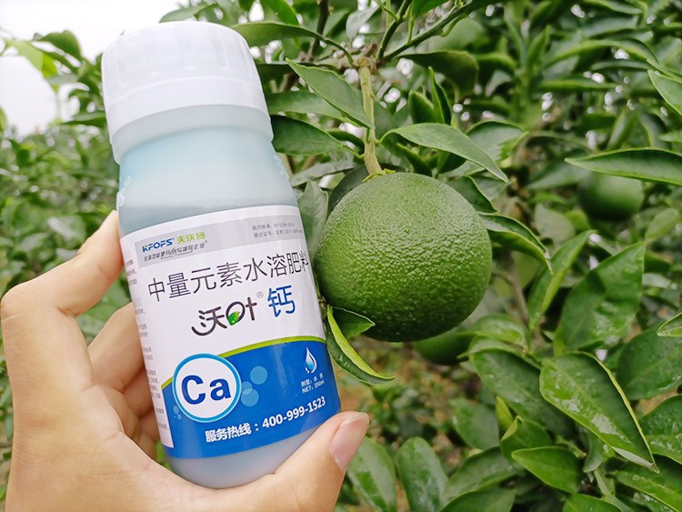 果樹補鈣用什么鈣肥好？
