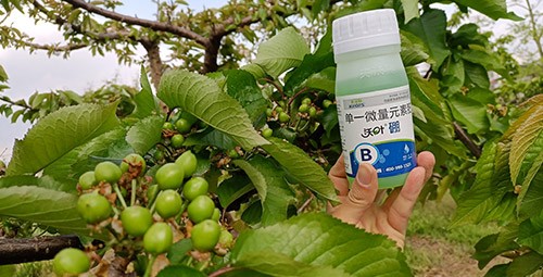 硼肥哪個(gè)品牌的好？這款不要錯(cuò)過(guò)！