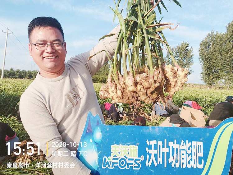 進(jìn)口水溶肥推薦你選沃葉，這就是原因！