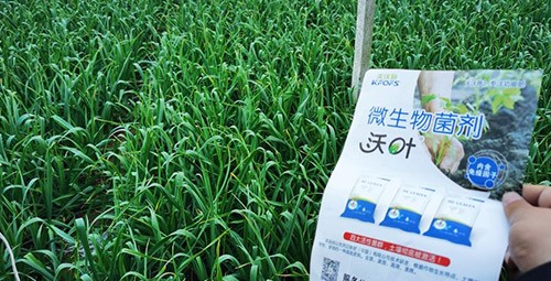微生物菌劑選它，放心又舒心！