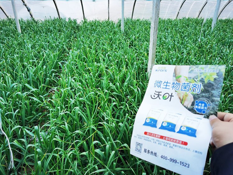 微生物菌劑選它，放心又舒心！