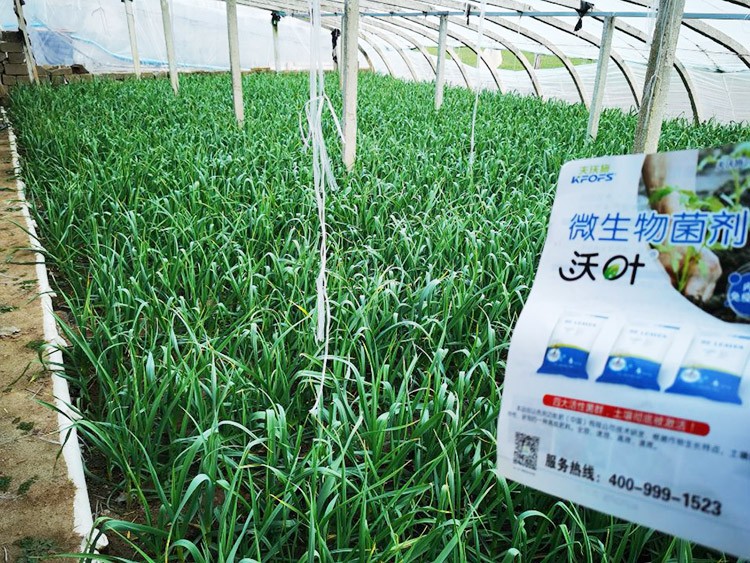 微生物菌劑選它，放心又舒心！