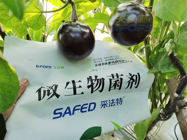 進(jìn)口水溶肥蔬菜上怎么用效果好？