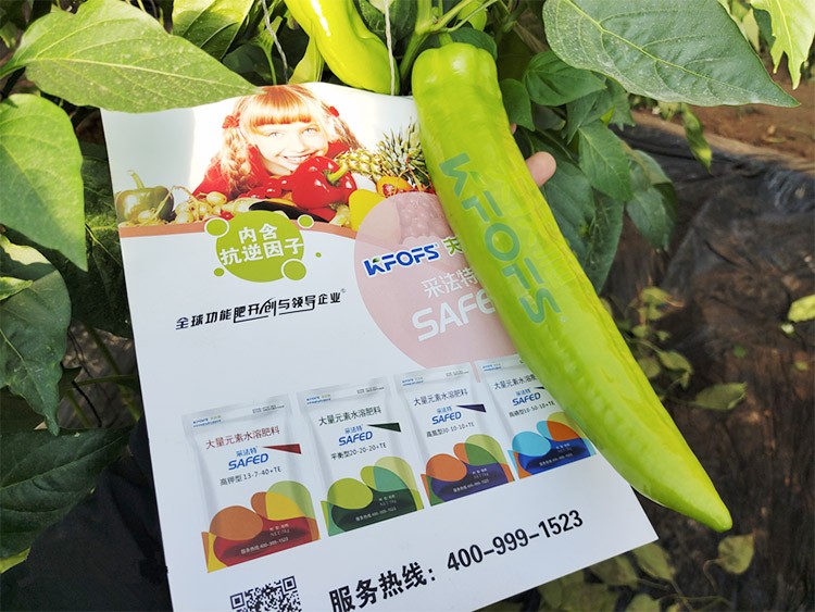 進(jìn)口水溶肥蔬菜上怎么用效果好？