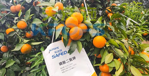 柑橘專(zhuān)用肥選采法特，就是不一樣！