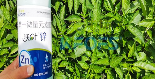 鋅肥是什么肥料？辣椒用有什么好處？