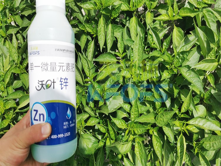 鋅肥是什么肥料？辣椒用有什么好處？