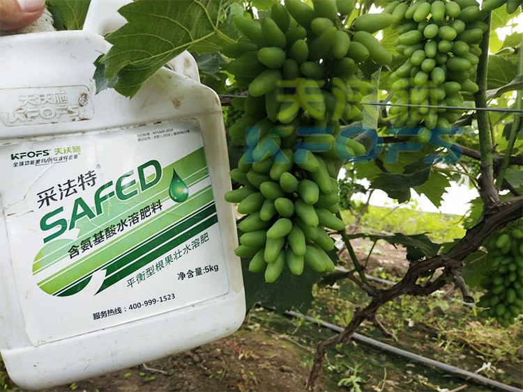 葡萄水溶肥品牌哪個(gè)好？案例告訴你！