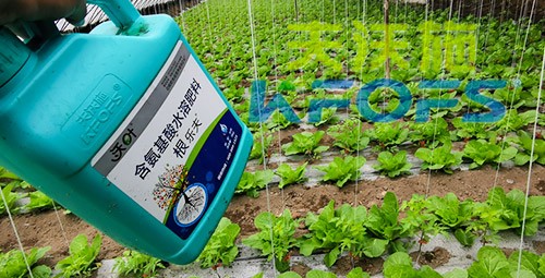 蔬菜用進(jìn)口水溶肥，有什么突出效果？