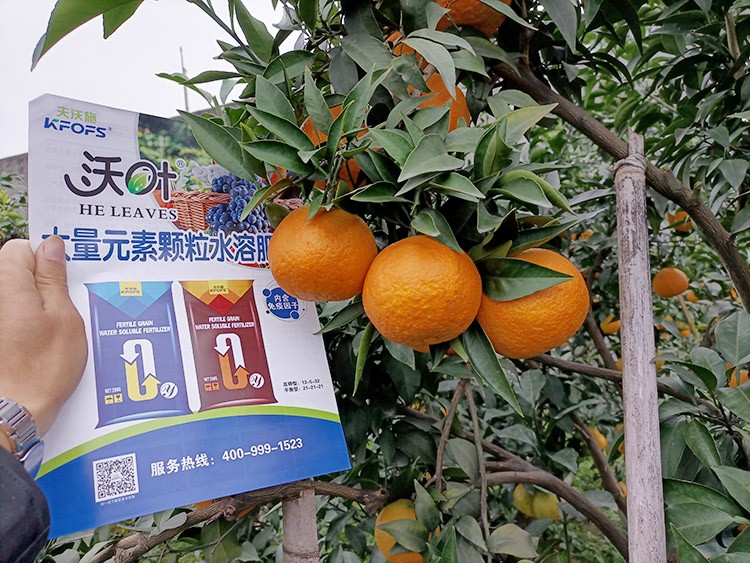 果樹(shù)水溶肥什么牌子好？