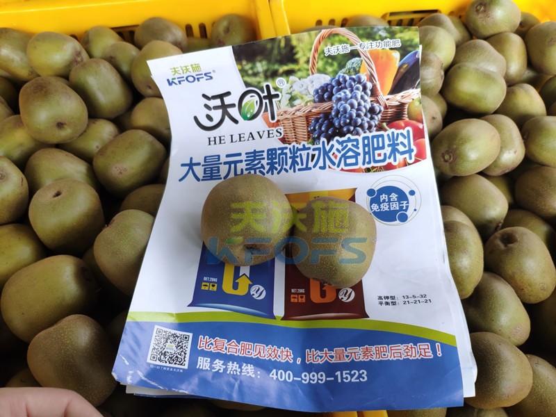 獼猴桃用哪款顆粒水溶肥產(chǎn)量高？