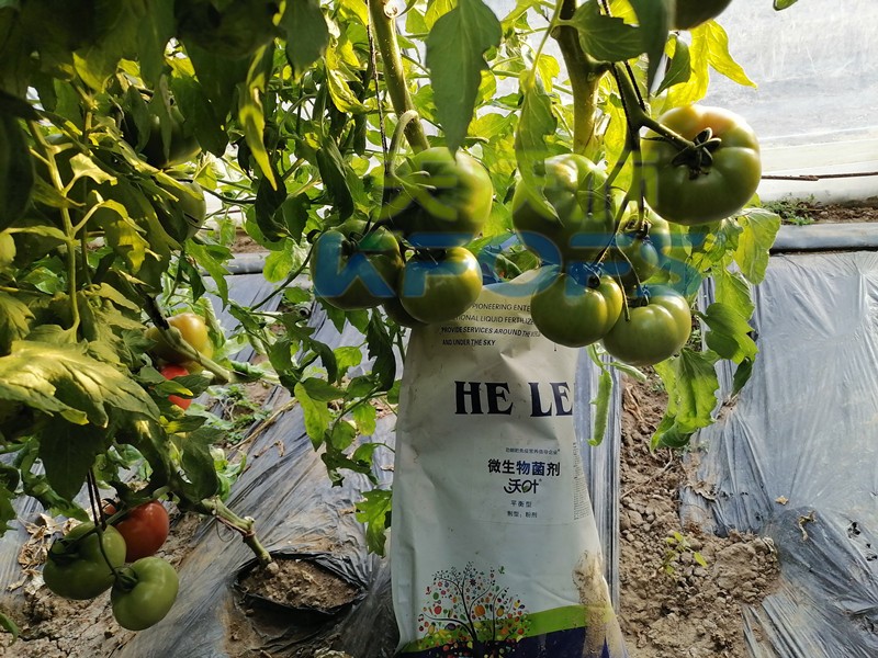 進(jìn)口水溶肥不知道這個(gè)牌子，你虧大了！