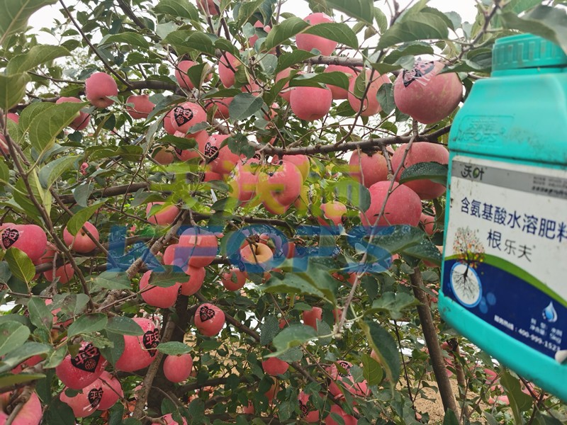 不要只關(guān)注水溶肥一袋多少錢，還有更重要的！