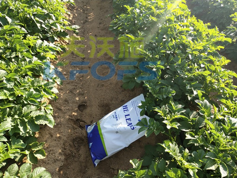 8年種植經(jīng)驗老農(nóng)說，種土豆用什么肥料好！