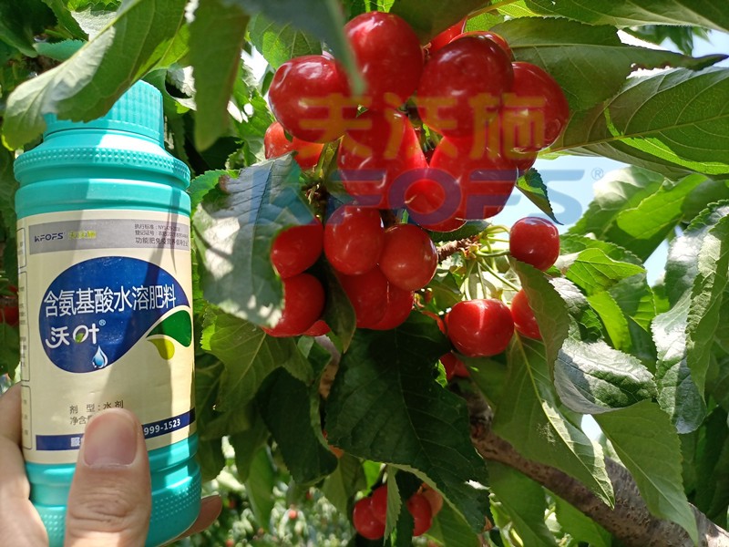 這款水溶肥，種植戶都愿意長期使用！