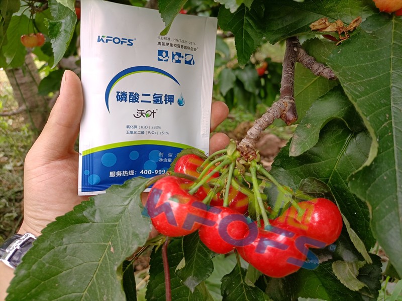 磷酸二氫鉀的正規(guī)廠家哪個(gè)好？這些方面要記牢！