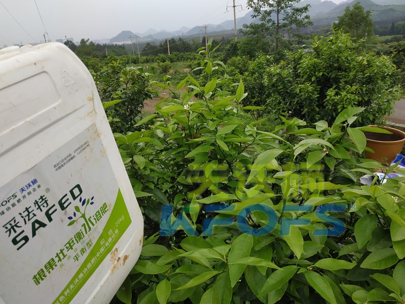 水溶肥的合理價(jià)格究竟如何判斷？這幾點(diǎn)很重要！