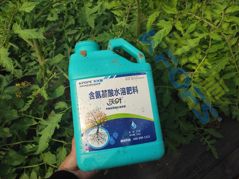 水溶肥的合理價格是多少？聽聽種植戶怎么說
